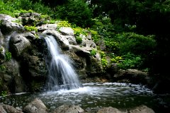 photo 0137